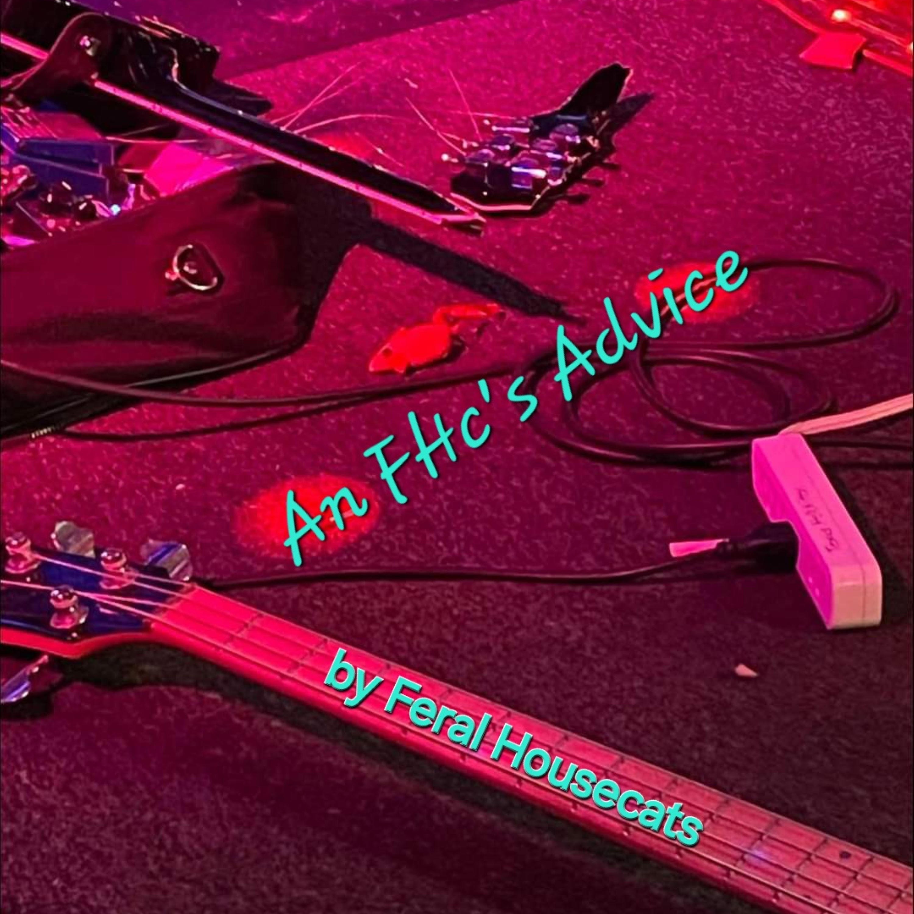An FHc's Advice - Single