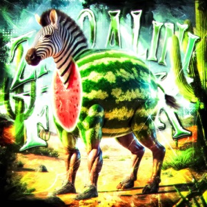ZIBRALINI FUNK - EP