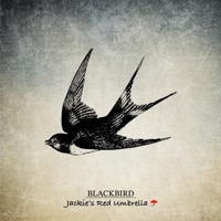 Blackbird - Single - Jackie's Red Umbrella