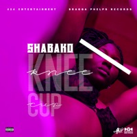 Knee Cup - Single - Shabako
