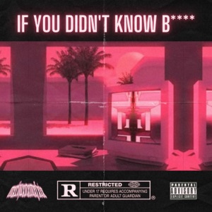 IF YOU DIDN'T KNOW BITCH