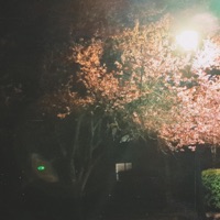 a steady sting - Single - Days to Waste