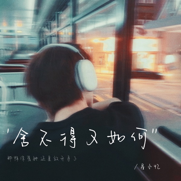 舍不得又如何 - Single