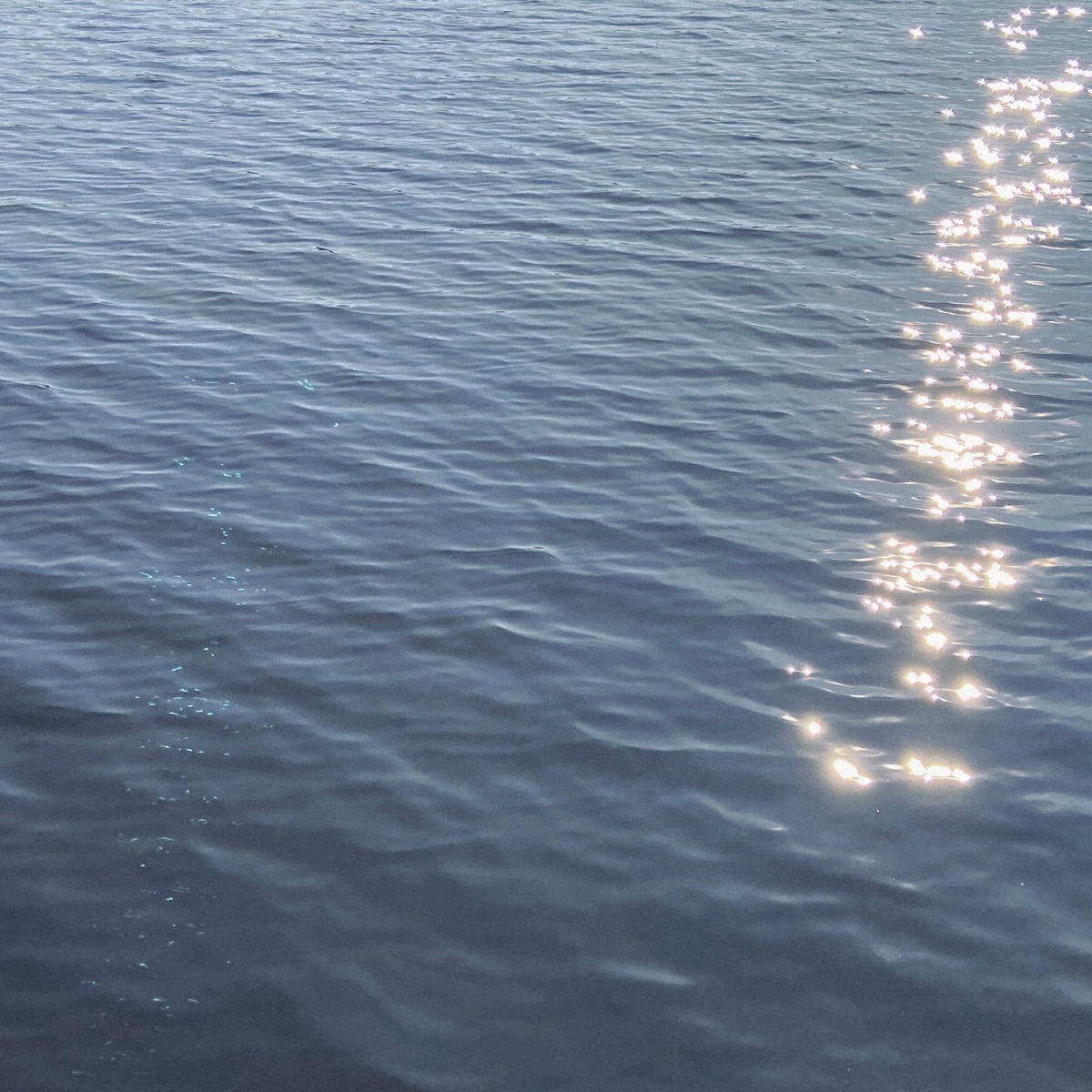 waving reflection - EP