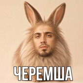 ЧЕРЕМША song art