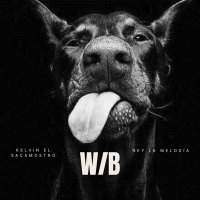 W/B - Single