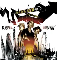 Nah Mean Nah'm Saying (feat. Jean Grae) [Platinum Pied Pipers Mix]
