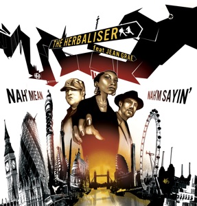 Nah Mean Nah'm Saying / Gadget Funk - Single