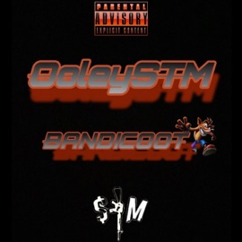 BANDICOOT Ooleystm