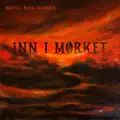 Inn i mørket