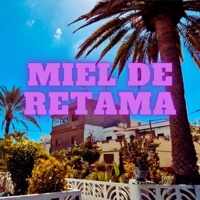 Miel de Retama (feat. Yumalesra & Wasintonía) - Single - Stivo/Natusoul