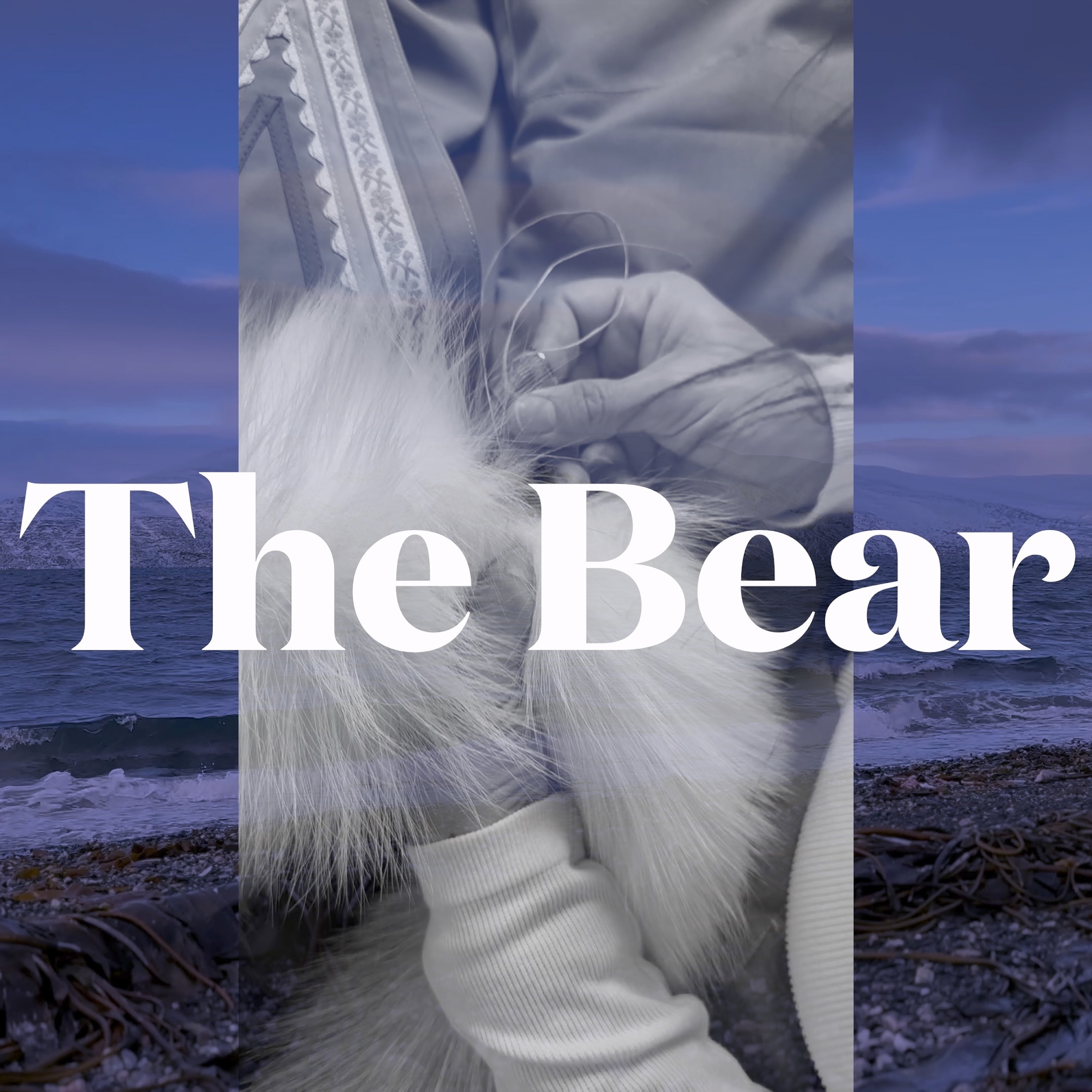 The Bear - Single