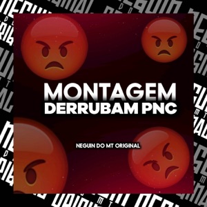 MONTAGEM DERRUBAR PNC