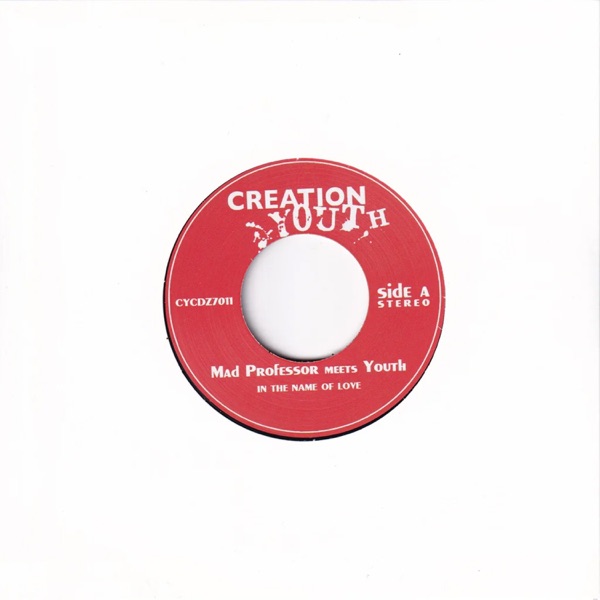 In the Name of Love (Mad Professor Meets Youth) - Single