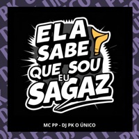 Ela Sabe Que Eu Sou Sagaz - Single - DJ PK O Único & MC PP
