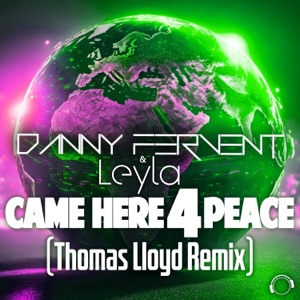 Came Here 4 Peace (Thomas Lloyd Remix) - Single