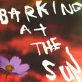 Barking at the Sun