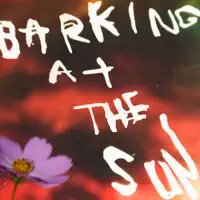 Barking at the Sun — No Joy