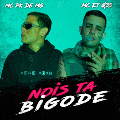 Nois Ta Bigode - Single