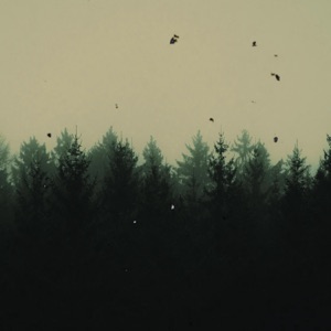 Habits - Single