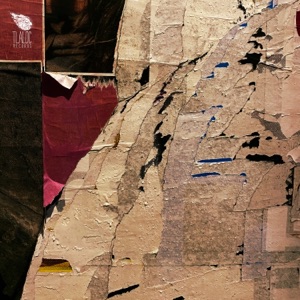 Technical Problems - Single