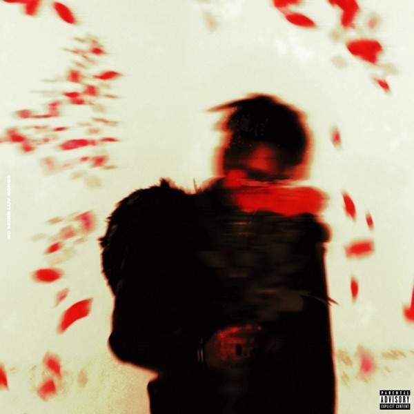Cover of NO MORE LUV SONGS