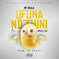 Ufuna Nd'thini (feat. Brie Lee & GRIZZLY_SA) - Single - Mr Shula
