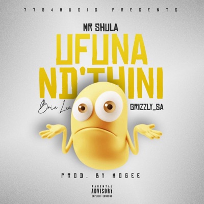 Ufuna Nd'thini (feat. Brie Lee & GRIZZLY_SA) - Single