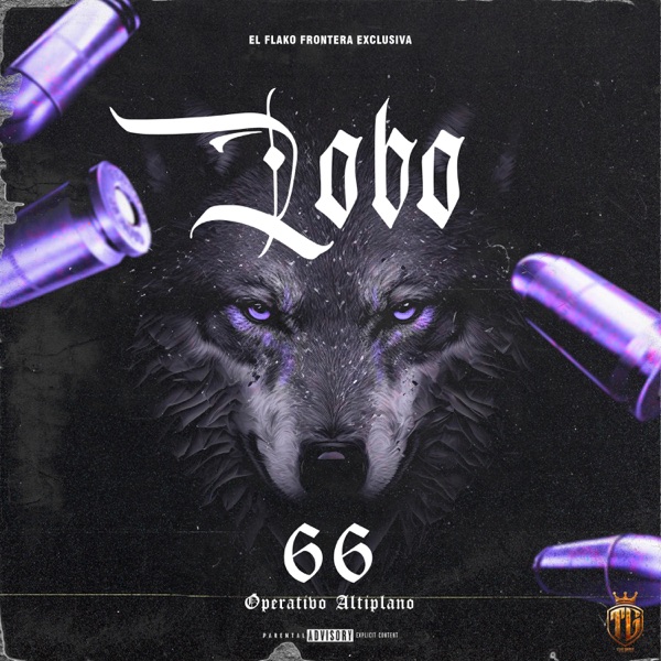 LOBO 66 (OP.SC-25)