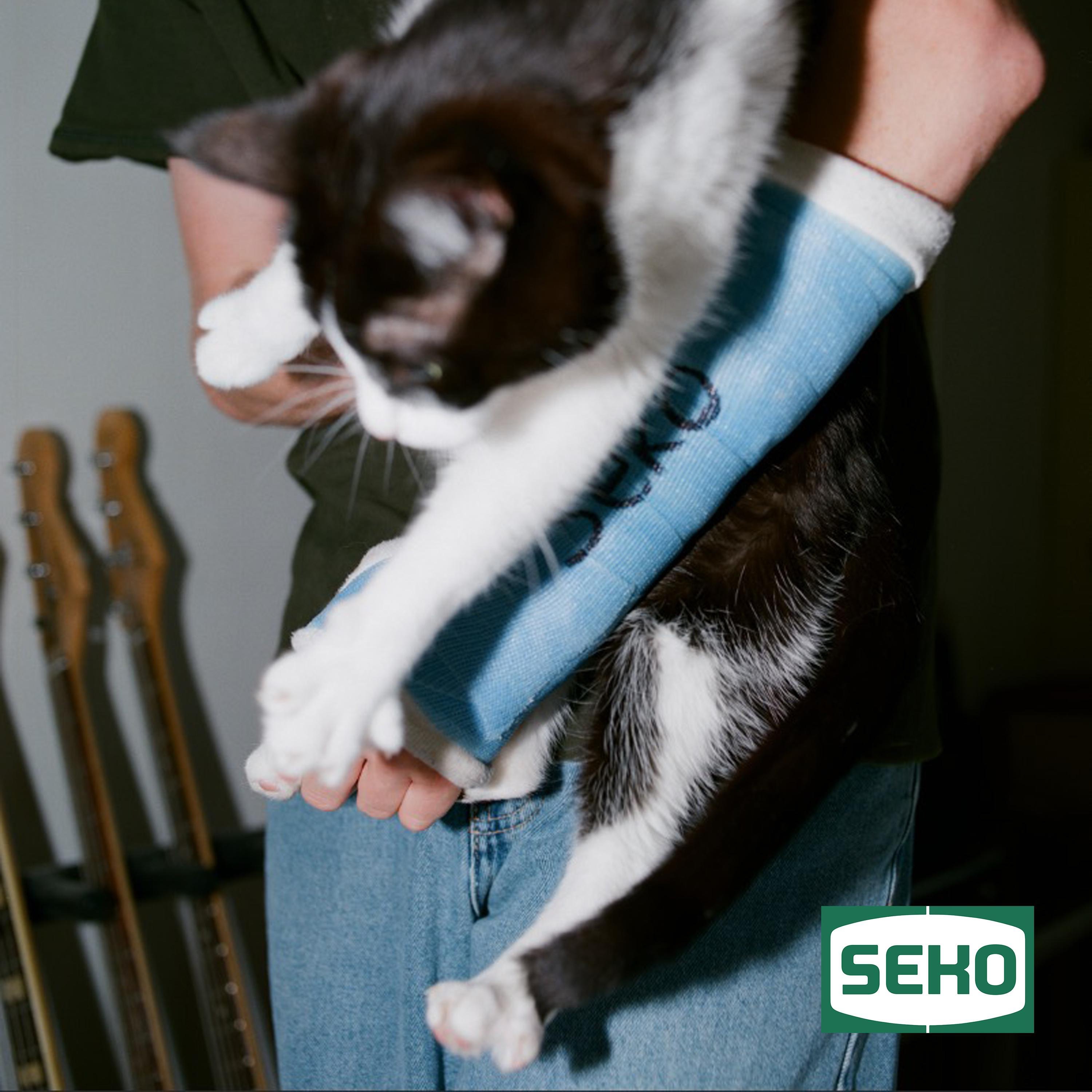 Danny's Song - Single