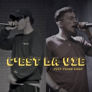 C'est la vie (feat. Driss Wolf)