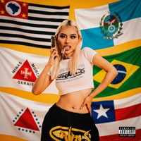 Mistura de Sotaques - Single - Henryzin flex & Mc Guin