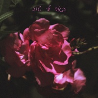 באה לי טוב (feat. עפרי אפרת) - Single - ביזביז