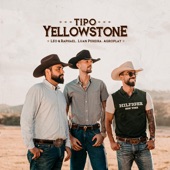 Tipo Yellowstone artwork