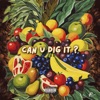 Can U Dig It? - Single