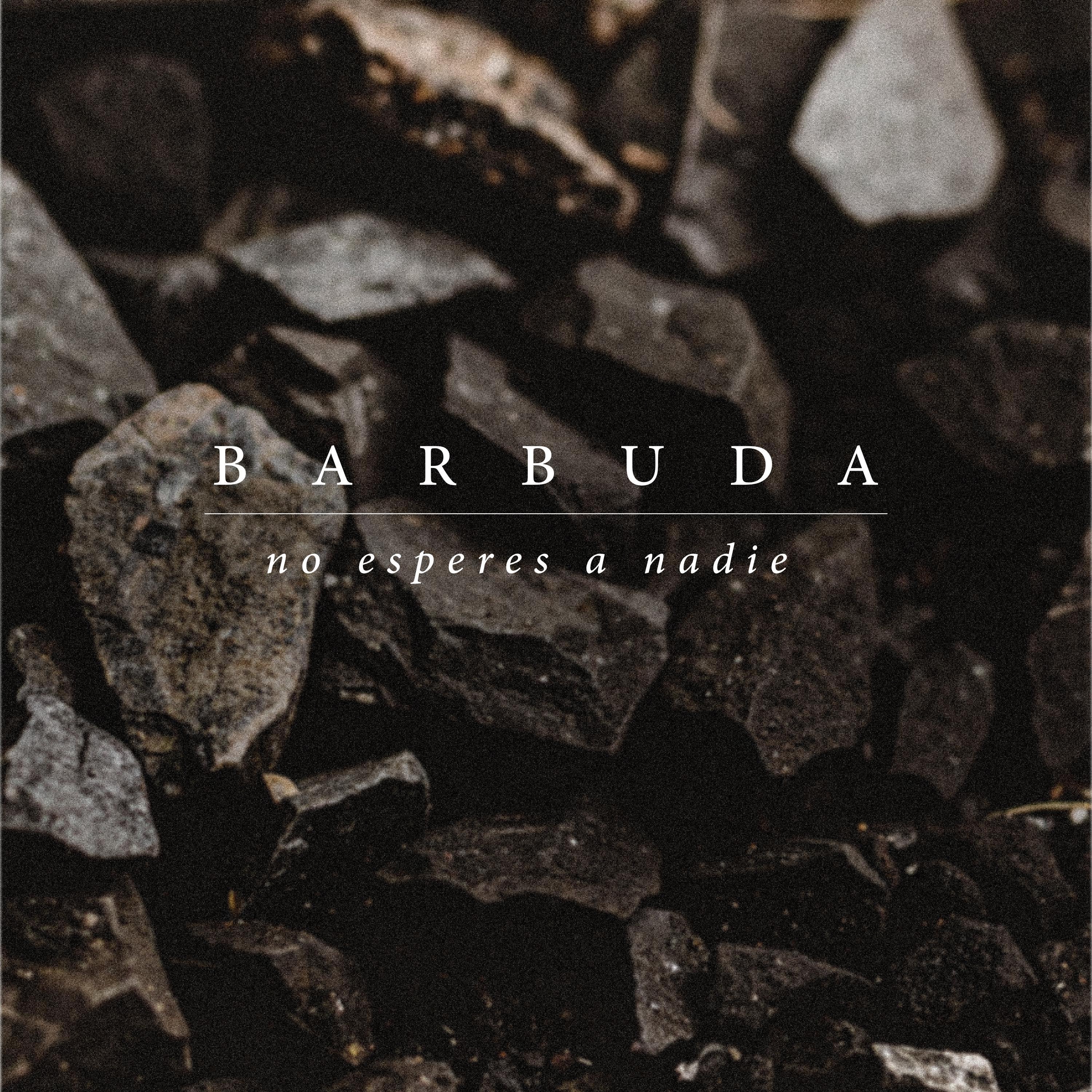 No Esperes A Nadie - Single