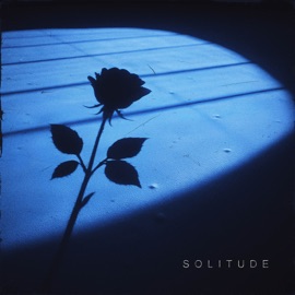 Solitude V2G