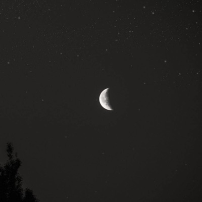 Keep It Going (feat. Zybinladen) - Single