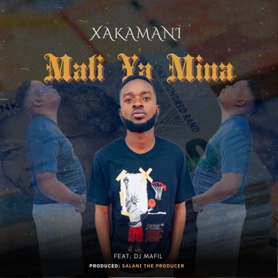 Mali ya mina (feat. Dj Mafil) - Single