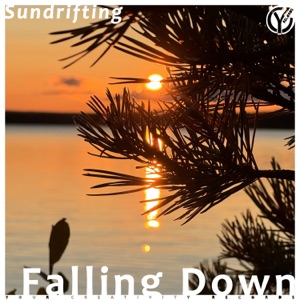Falling Down - Single