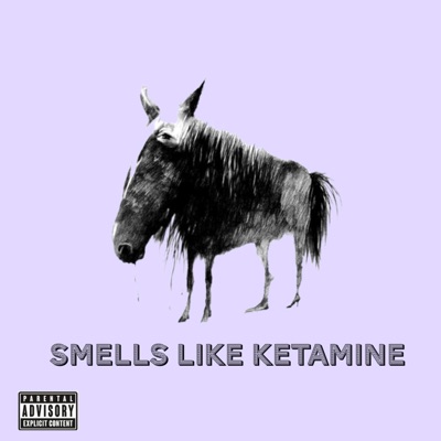 SMELLS LIKE KETAMINE - Single