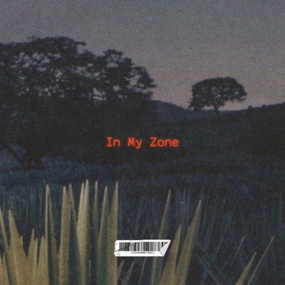 In My Zone (feat. Anderson Knight) - Single