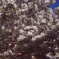 BONITA - Single - Lou Temp