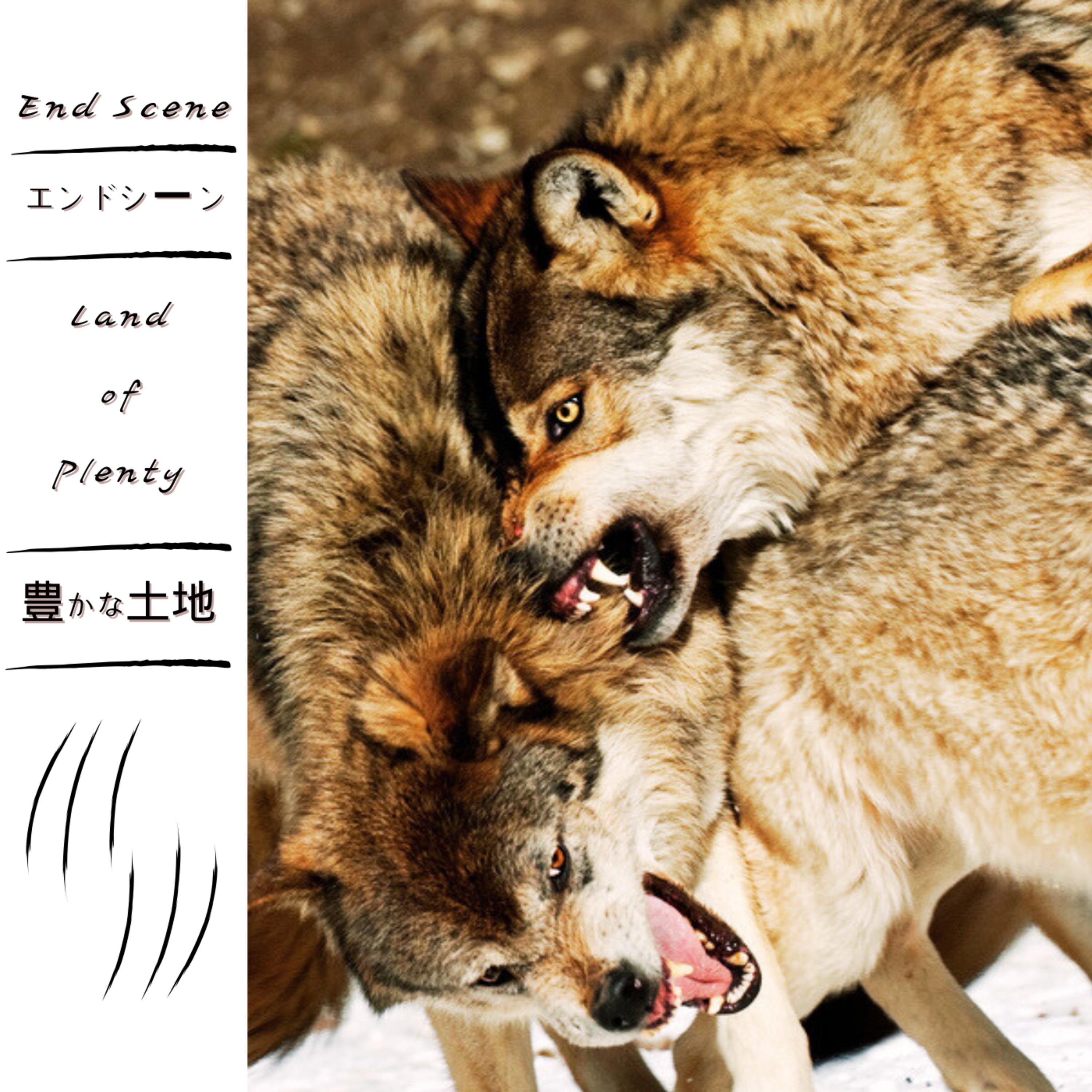 Land of Plenty - Single