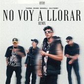 NO VOY A LLORAR (feat. Kadel & July Roby) artwork