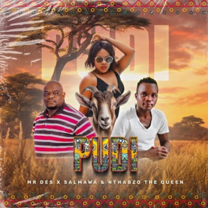 PUDI (feat. NTHABZO the QUEEN) [ORIGINAL]