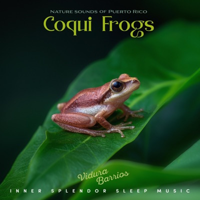 Nature Sounds of Puerto Rico Coqui Frogs - EP