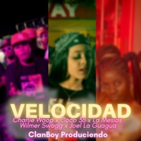 Velocidad (feat. La Mesia RD, Wilmer Swagg, Charly Woop, Coco 38 & Joel La Guagua) - Single - ClanBoy