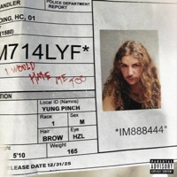 I WOULD HATE ME TOO - Yung Pinch