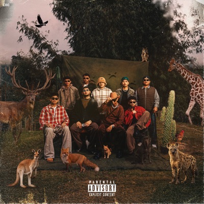 ZOOBOYS